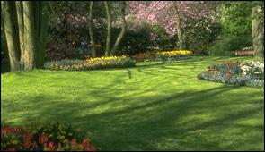 West Michigan Lawn Care