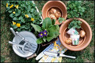 Landscaping plant materials are from locally grown Michigan nurseries