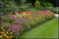 Landscape Maintenance