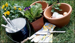 Lawn Care and Landscape Maintenance in West Michigan
