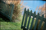 Spring Clean Up and Yard Maintenance