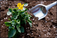 Flower and Garden Services in West Michigan