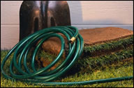 Turf Maintenance