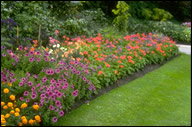 Lawn and Garen Services
