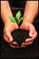 Soil Testing